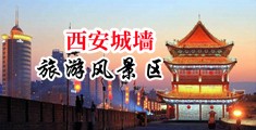 免费高清操逼视频中国陕西-西安城墙旅游风景区